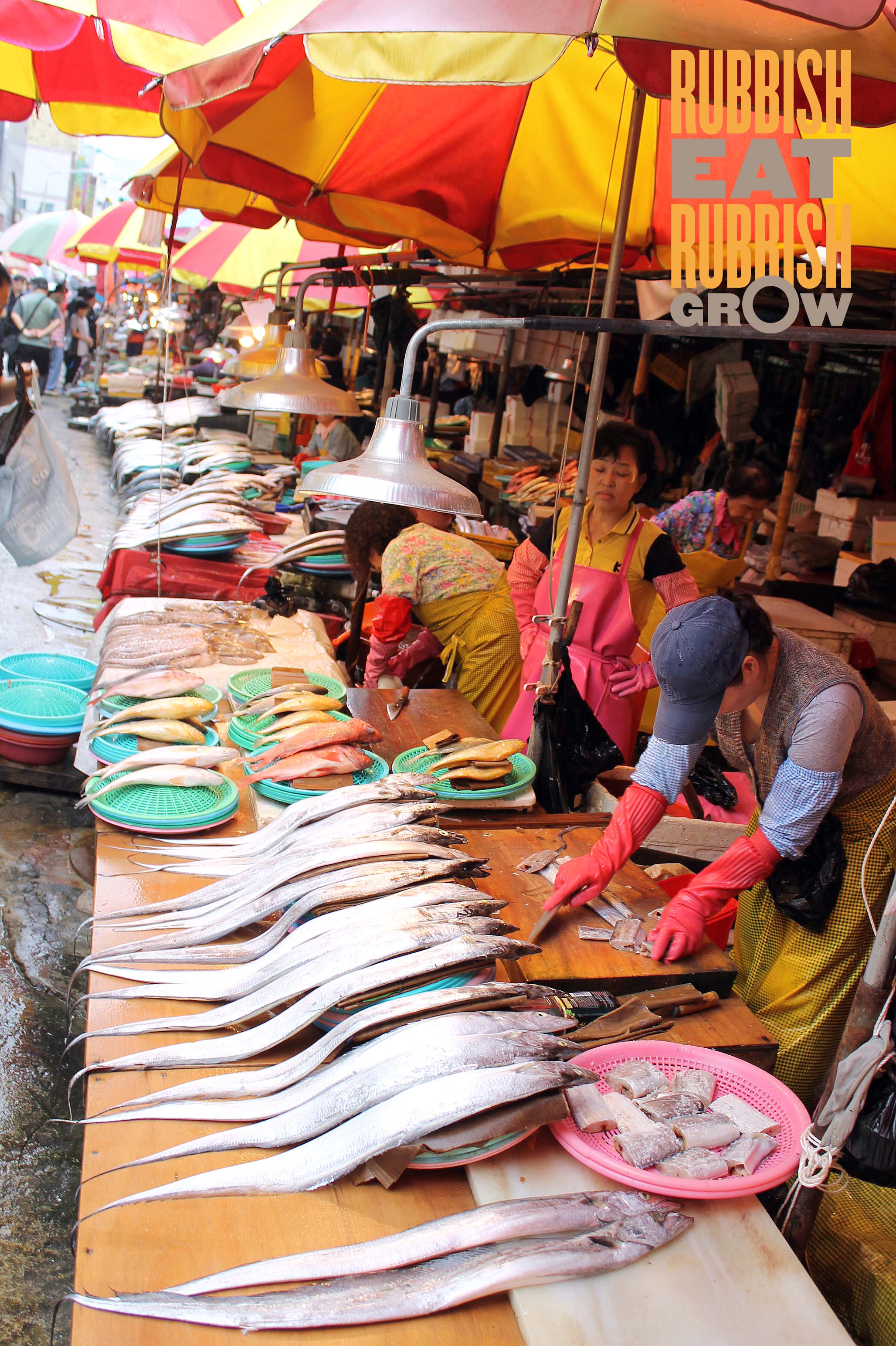 South Korea Itinerary Part 5(c): Busan – Markets, Busan Museum of Art & Haeundae