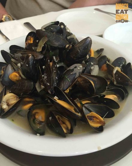 Bruno’s Pizzeria and Grill, Katong: Great Homely Italian Food