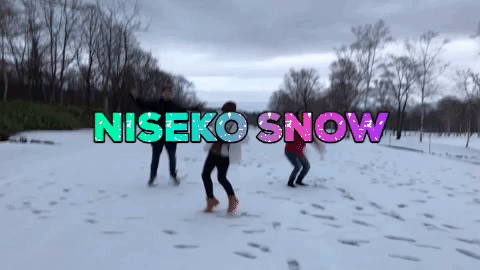 8-Day Hokkaido Itinerary: Day 4 at Niseko