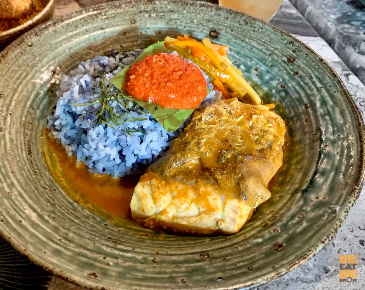 Noa Singapore, Stanley St Coffee, Ferments, and Food Inspired by