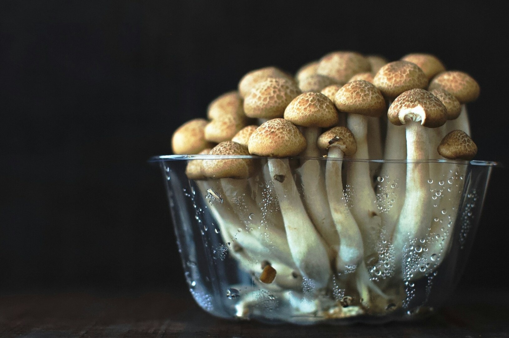 The Hidden World of Japanese Mushrooms: From Shimeji to Matsutake