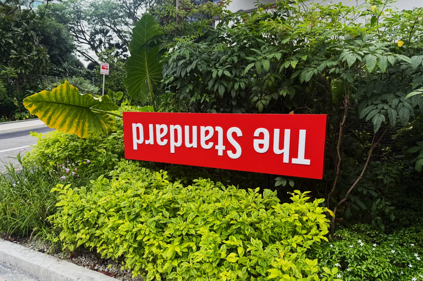 The Standard Singapore: Stylish, Sharp, and Slightly Too Committed to Its Own Cool