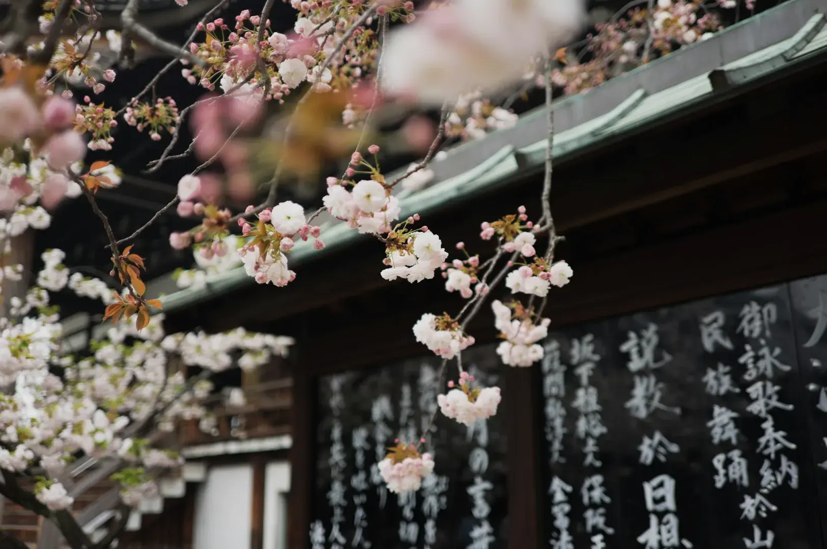 6 Unusual Things to Do in Osaka Beyond the Neon Lights
