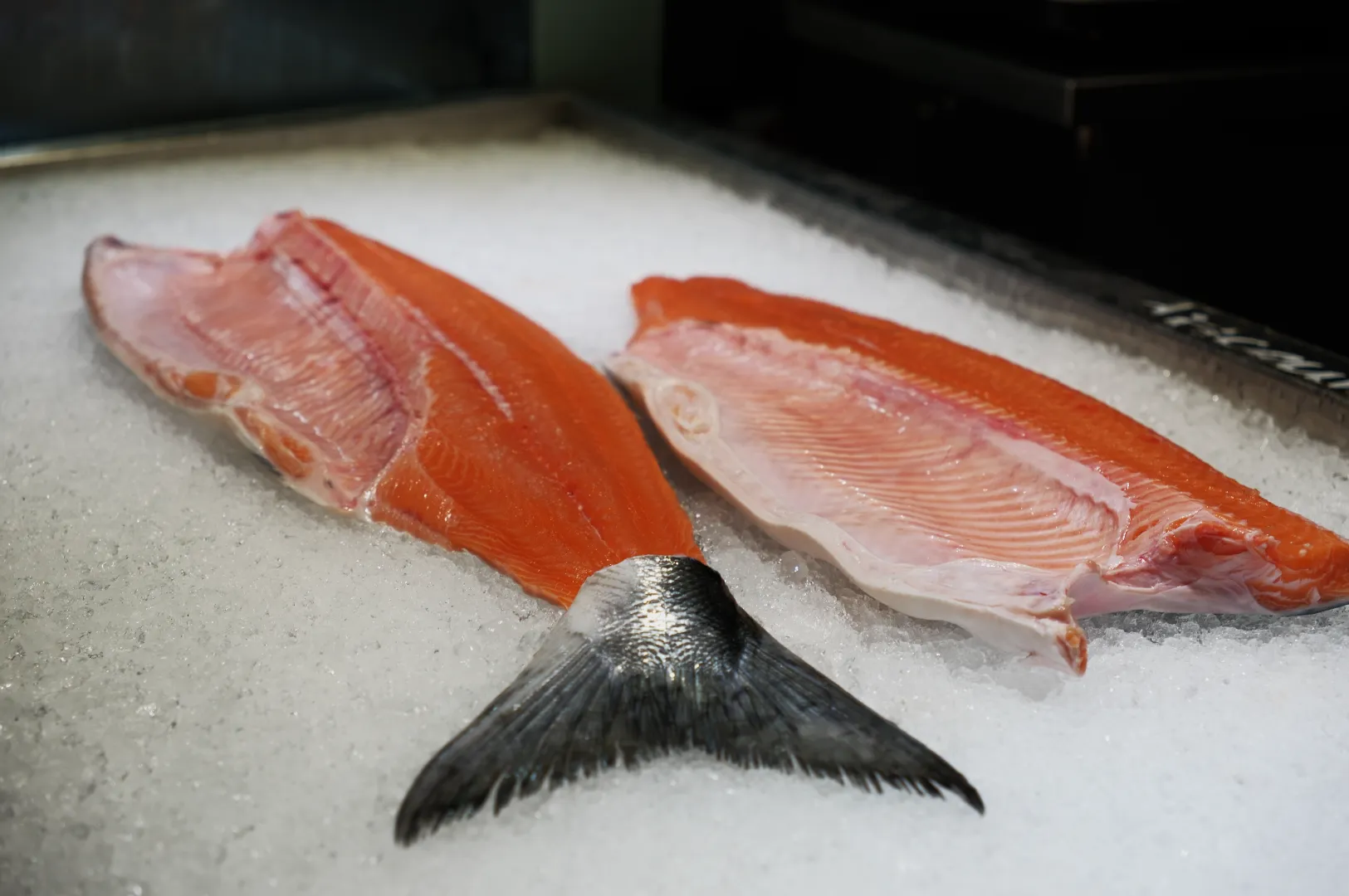 Araya Shouten: The Tanglin Fishmonger Behind Singapore’s Best Sushi