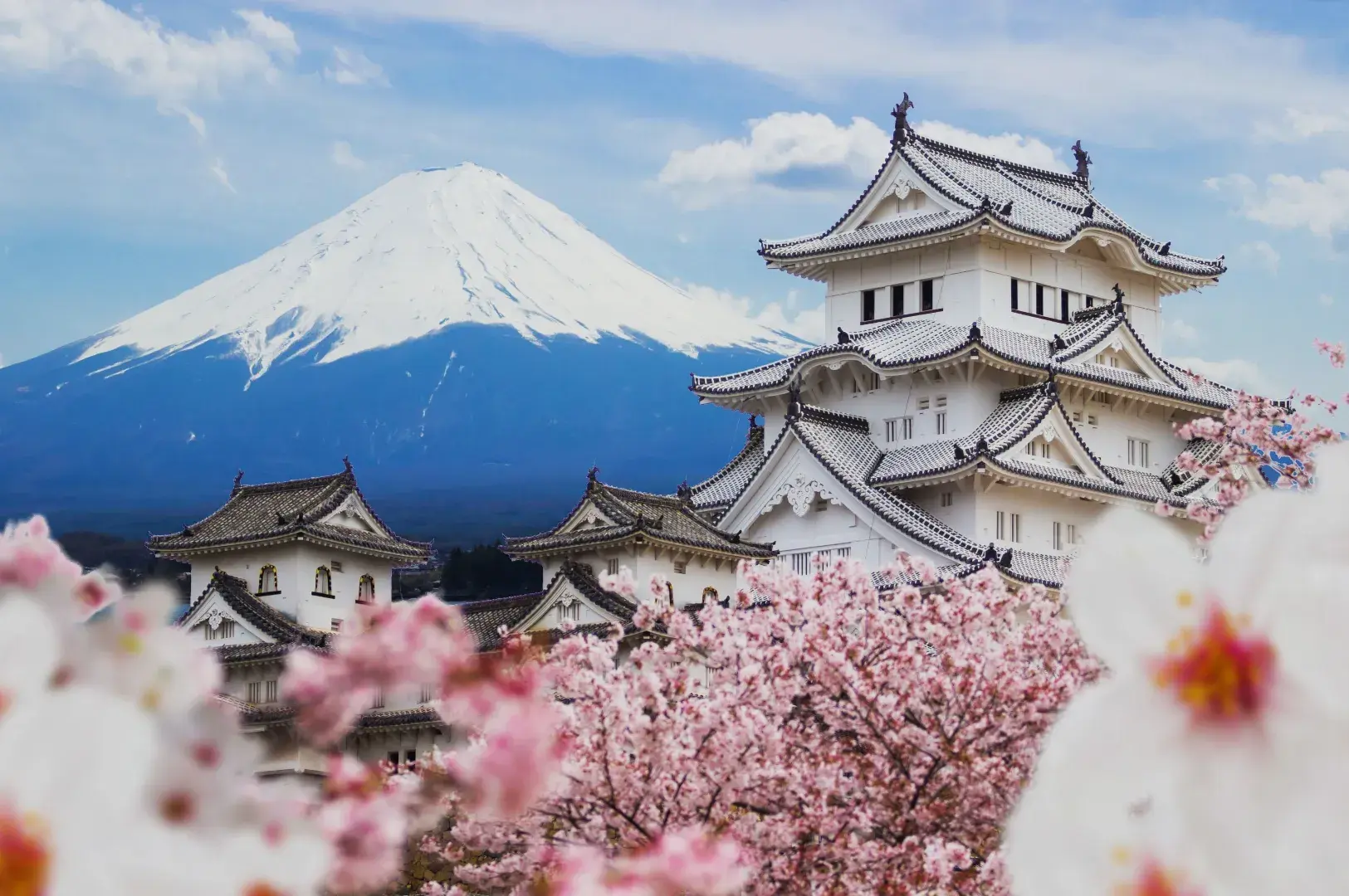 Where to Shop in Osaka: 6 Districts Worth Your Yen